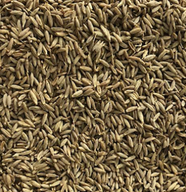 Whole Coriander Seeds